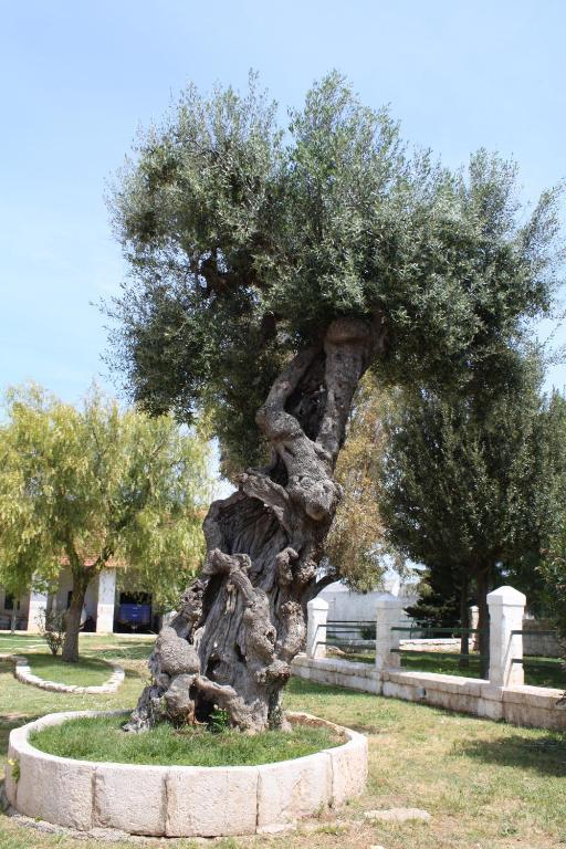 Masseria Maccarone Фазано Экстерьер фото