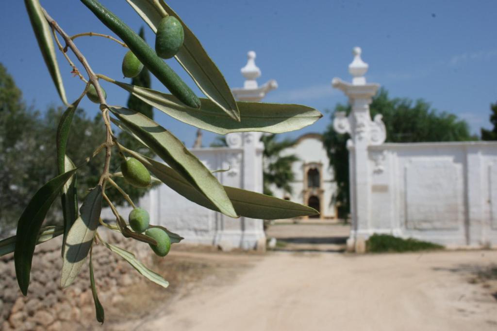 Masseria Maccarone Фазано Экстерьер фото